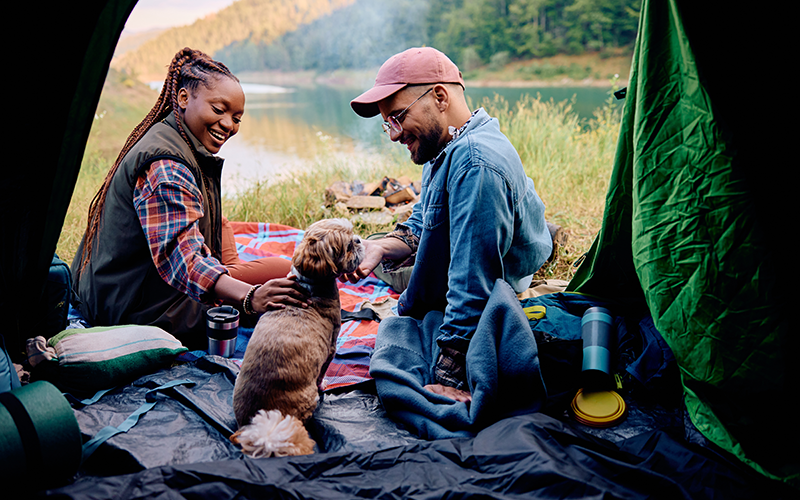 How to Keep Your Dog Safe on the Trail: Tips for Every Adventure