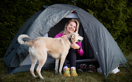 Camping with Your Dog: Essential Gear and Safety Tips