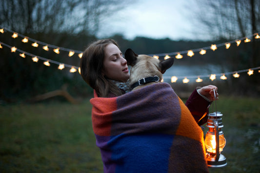 Dog-Friendly Hiking Trails for Your Next Adventure